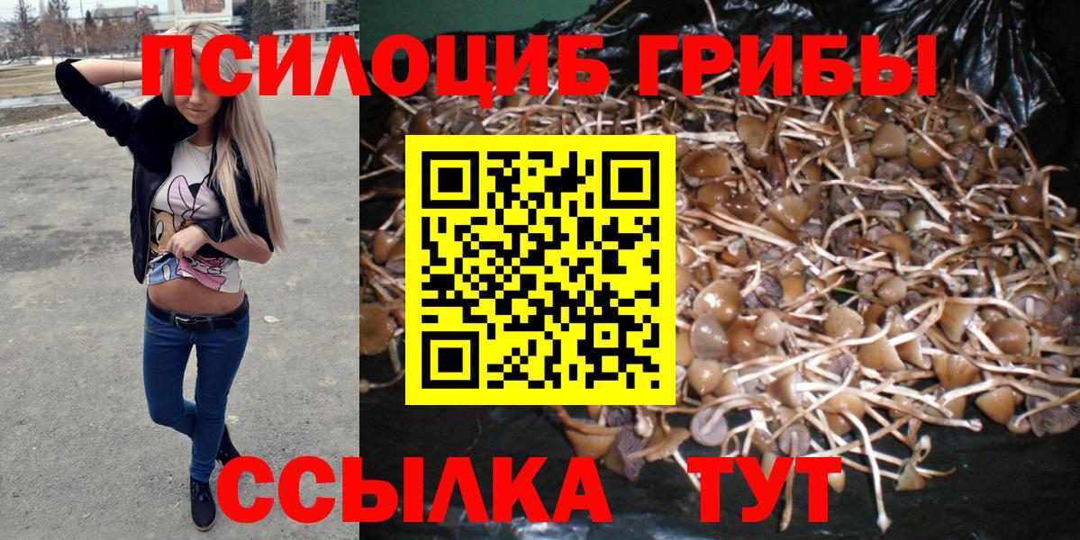 Псилоцибиновые грибы GOLDEN TEACHER Кингисепп