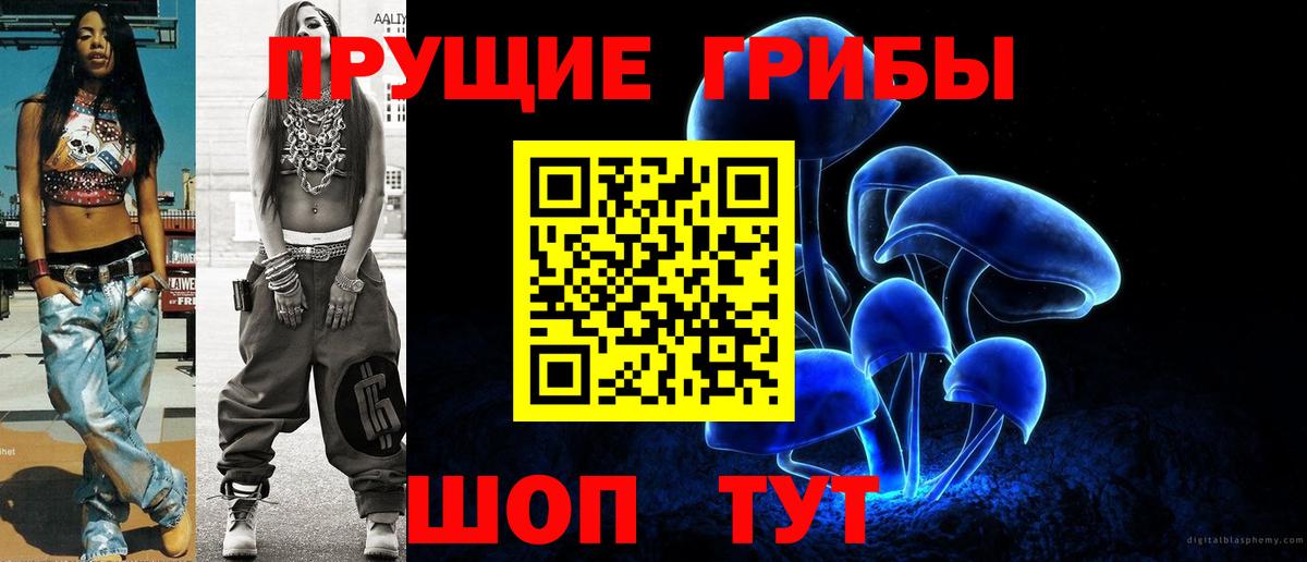 хочу наркоту  Вход с VPN  Кингисепп  Псилоцибиновые грибы Psilocybine cubensis 