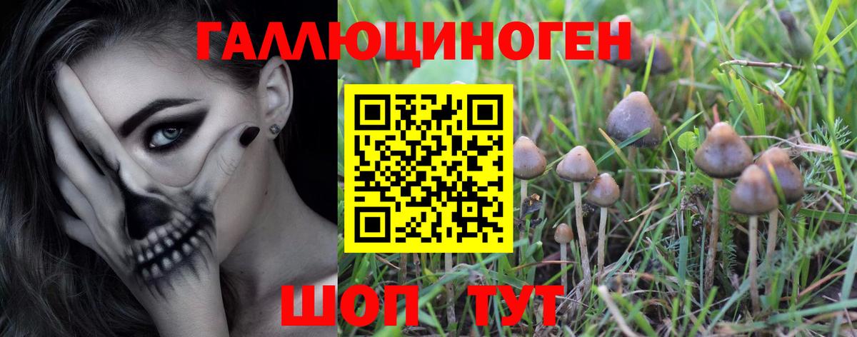 Кингисепп  Метамфетамин  Alpha-PVP СК   Cocaine  Вход с VPN  ГАШ  МАРИХУАНА  Где продают наркотики?  ГАШ  Меф кристаллы 